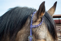 Buckstitchin’ Beauty Purple Tack Set