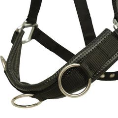 Huntley Nylon Padded Lunging Caveson, Black