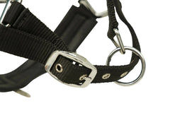 Huntley Nylon Padded Lunging Caveson, Black
