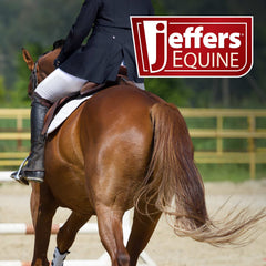Jeffers Expression Softmesh Combo Neck Horse Fly Sheet