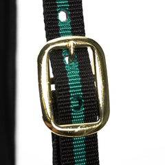 Jeffers Padded Nylon Horse Halter with Throat Snap