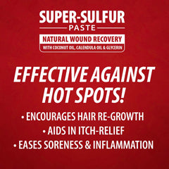 Jeffers Super-Sulfur Skin & Wound Healing Paste for Pets, Horses, & Livestock